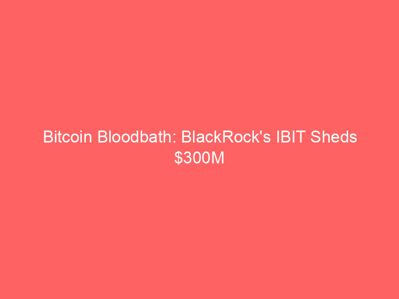 bitcoin bloodbath: blackrock's ibit sheds $300m amid broader crypto decline; ai fuels stock surge & trump's crypto windfall revealed