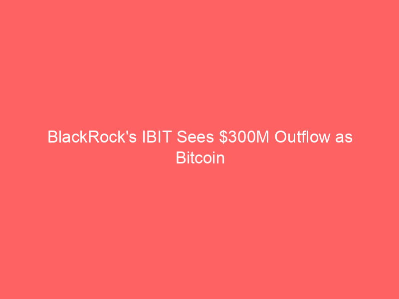 blackrock's ibit sees $300m outflow as bitcoin demand wanes amid ai driven stock rally