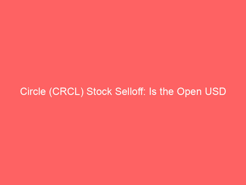circle (crcl) stock selloff: is the open usd stablecoin threat overblown?