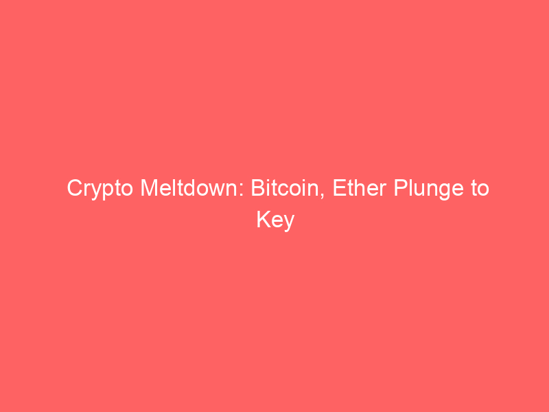 crypto meltdown: bitcoin, ether plunge to key support, options traders brace for deeper slide
