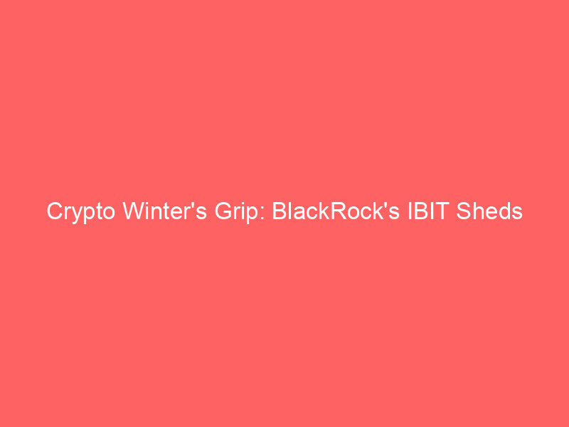 crypto winter's grip: blackrock's ibit sheds $300m amid divergent market trends