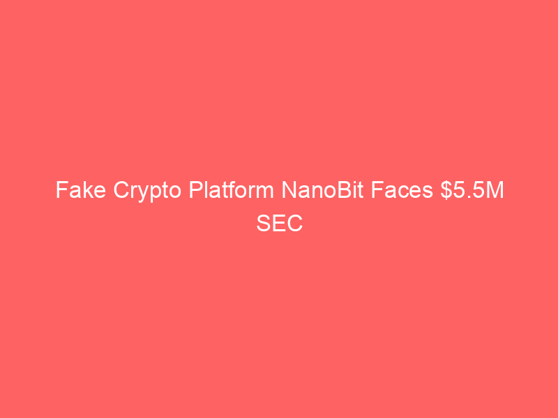 fake crypto platform nanobit faces $5.5m sec judgment over whatsapp 'pig butchering' scheme