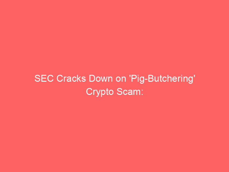sec cracks down on 'pig butchering' crypto scam: nanobit ordered to pay $5.5 million judgment