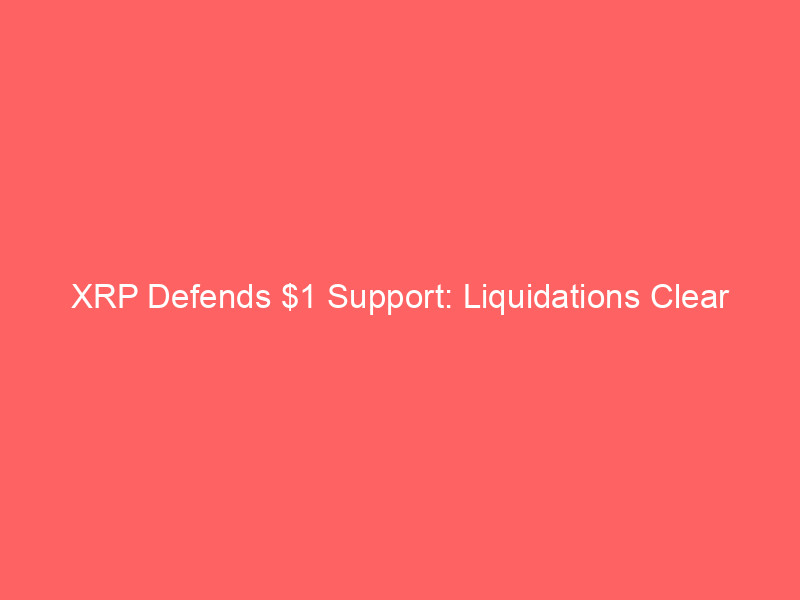 xrp defends $1 support: liquidations clear leverage as network activity surges 72%