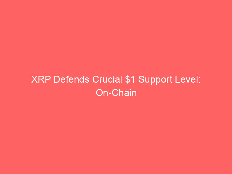 xrp defends crucial $1 support level: on chain metrics signal potential breakout