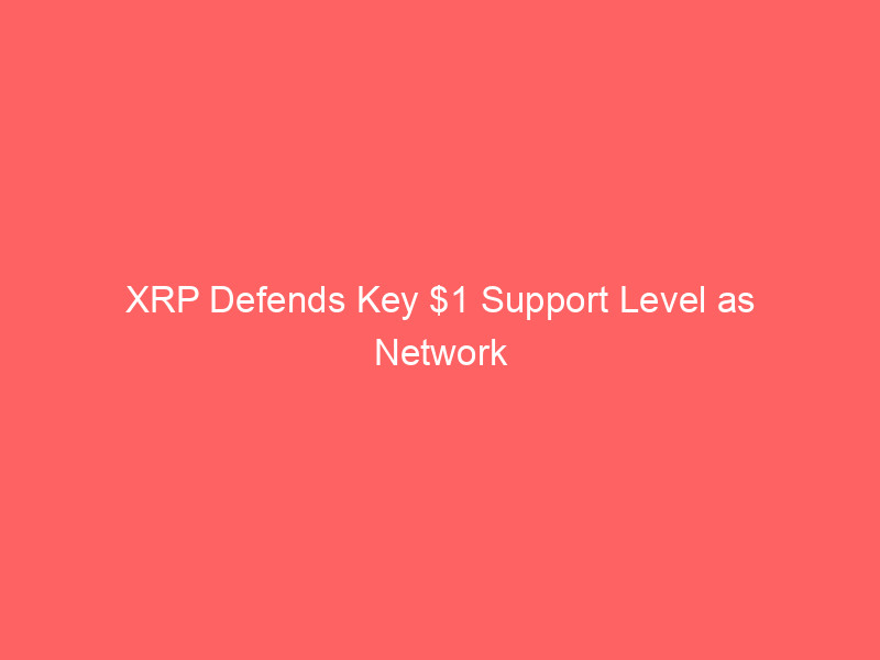 xrp defends key $1 support level as network fundamentals and etf inflows strengthen