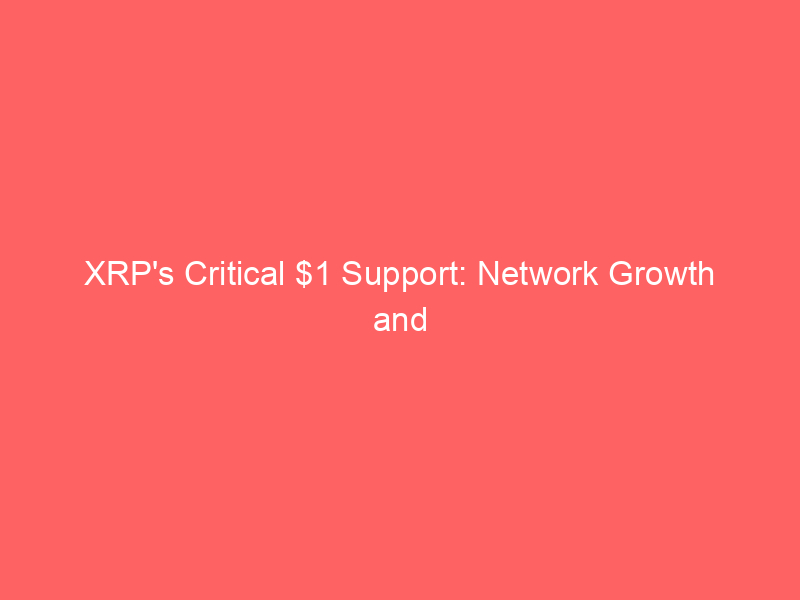 xrp's critical $1 support: network growth and leverage reset drive market optimism
