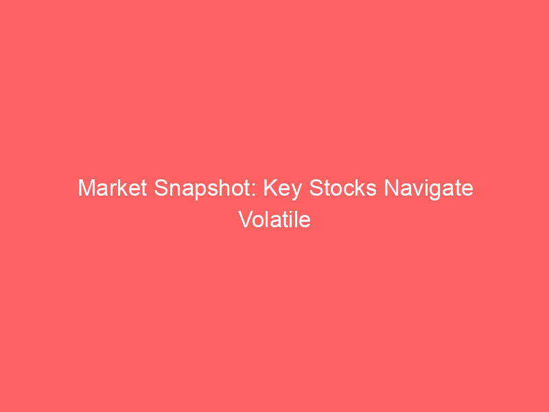 market snapshot: key stocks navigate volatile trading session