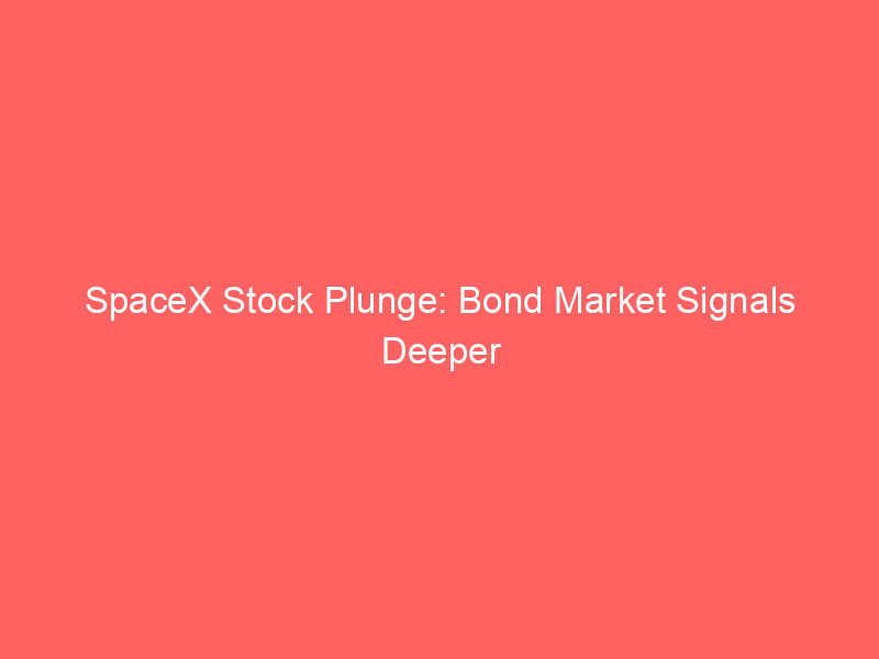 spacex stock plunge: bond market signals deeper trouble for hyped assets, warns peter schiff