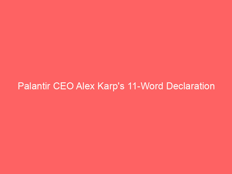 palantir ceo alex karp's 11 word declaration sends pltr stock soaring 30% after q2 earnings crush
